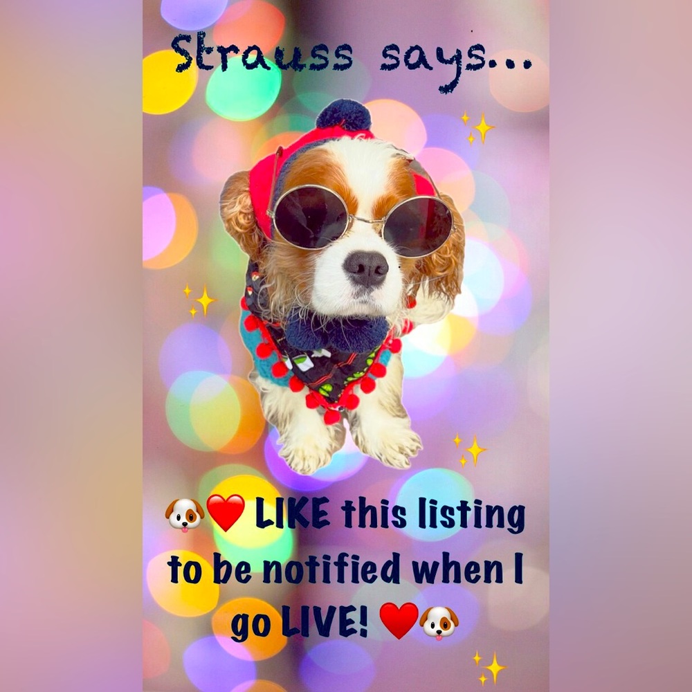 ❤️👩🏻🐶 WE’RE LIVE !!❣️Like this to be notified when we host a live show❣️